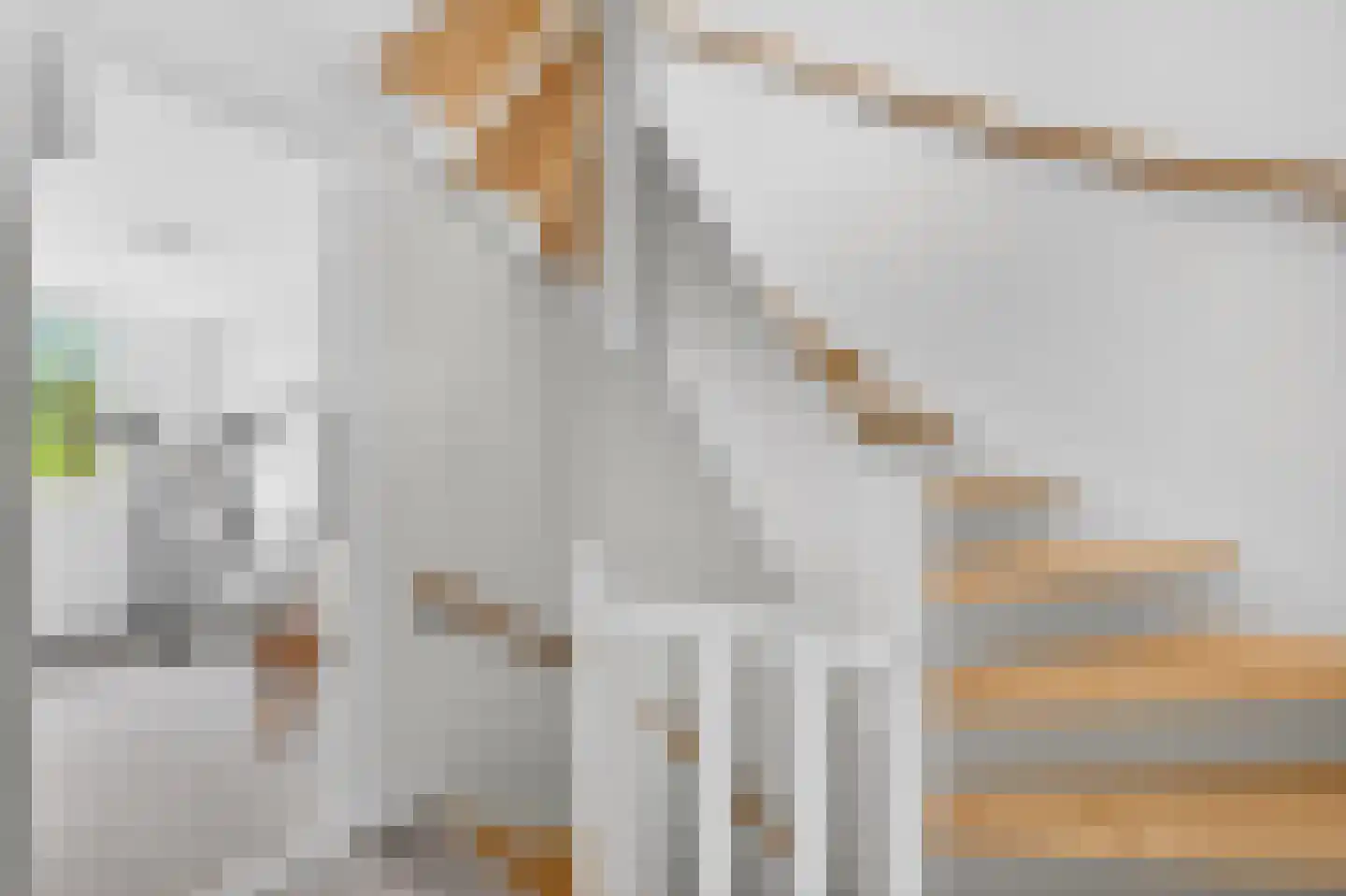 Pasteurlaan 46 Eindhoven thumbnail 41