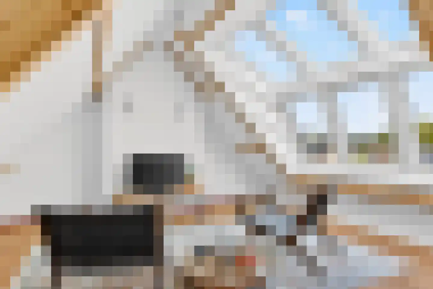 Pasteurlaan 46 Eindhoven thumbnail 42