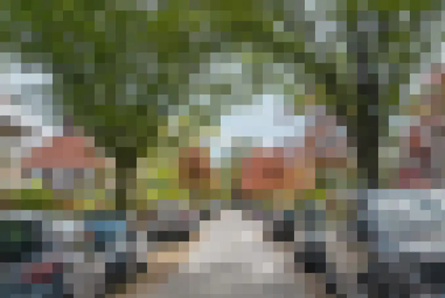 Pasteurlaan 46 Eindhoven thumbnail 45