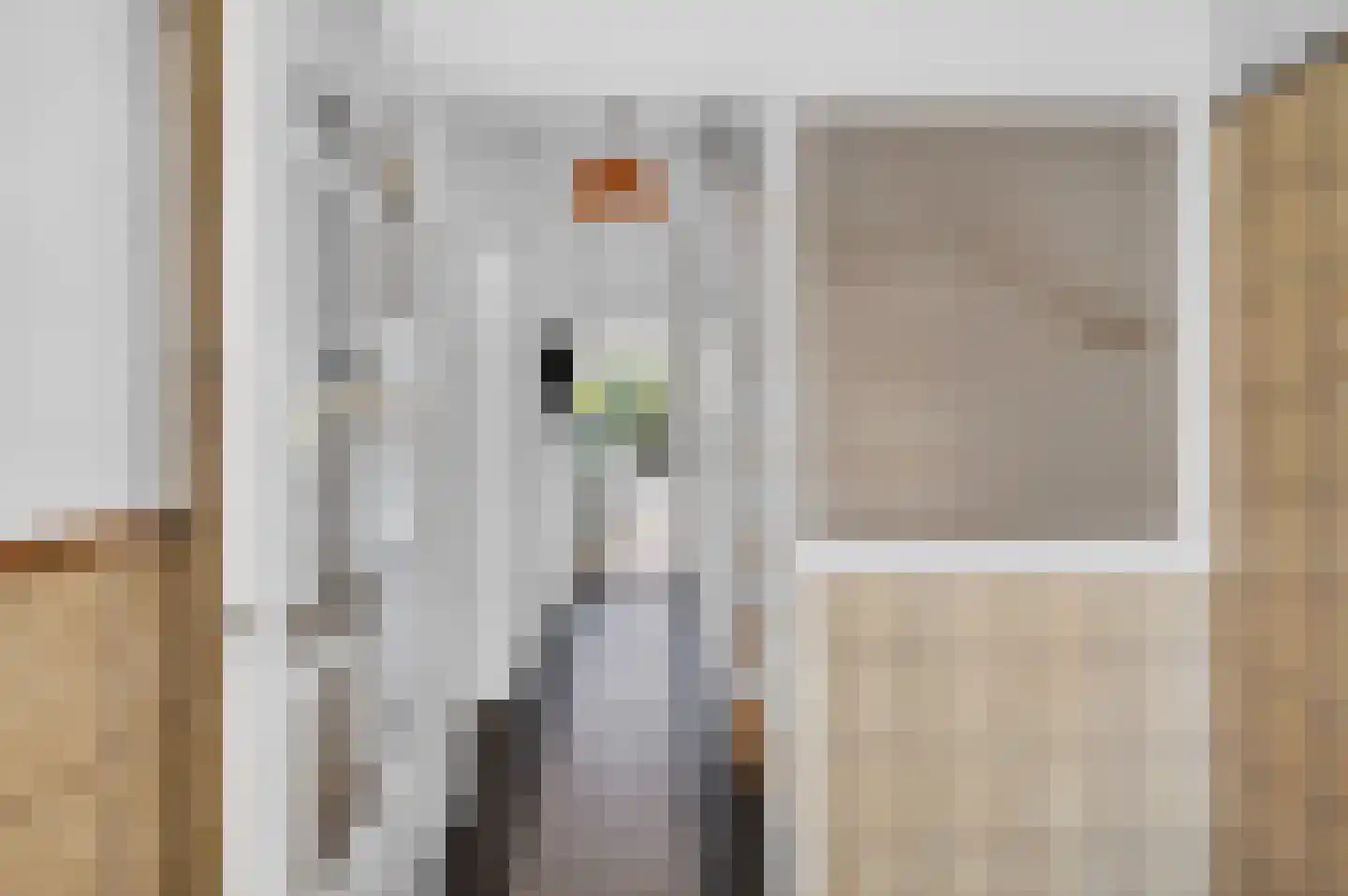 Pasteurlaan 46 Eindhoven thumbnail 8
