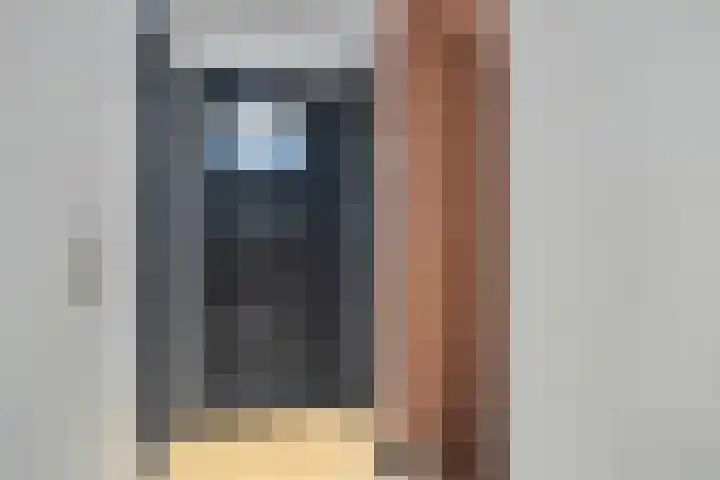 Pasteurlaan 58 Eindhoven thumbnail 16