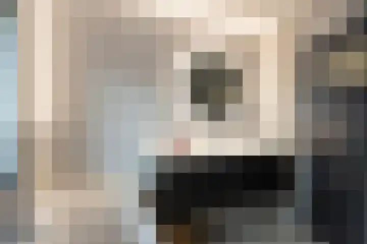 Pasteurlaan 58 Eindhoven thumbnail 21