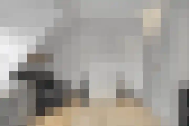 Pasteurlaan 58 Eindhoven thumbnail 27