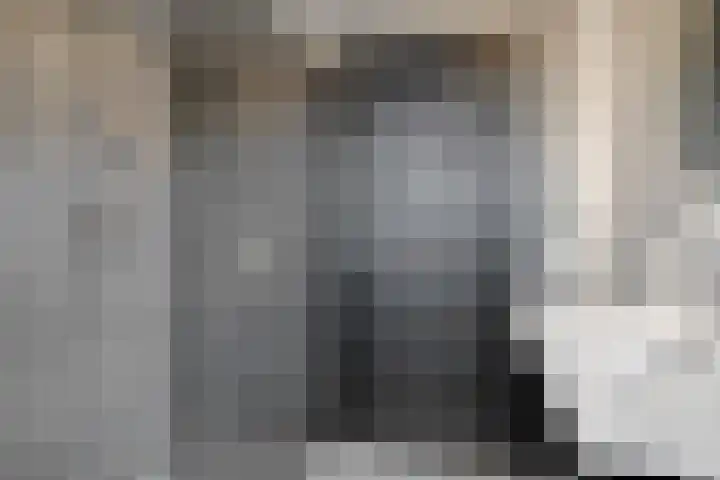 Pasteurlaan 58 Eindhoven thumbnail 29