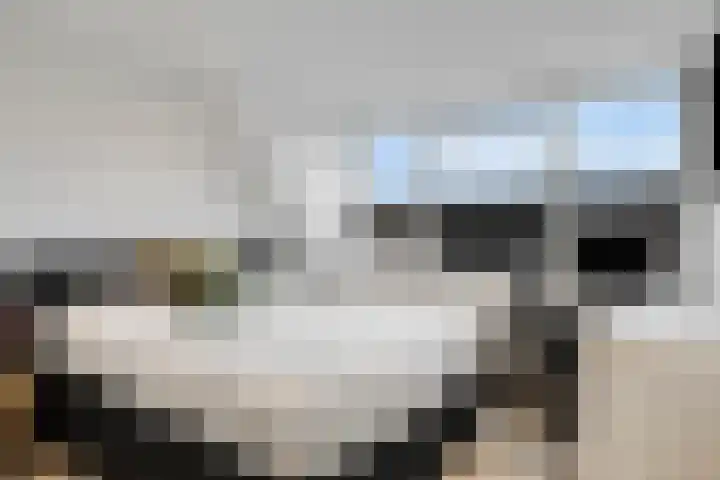 Pasteurlaan 58 Eindhoven thumbnail 30