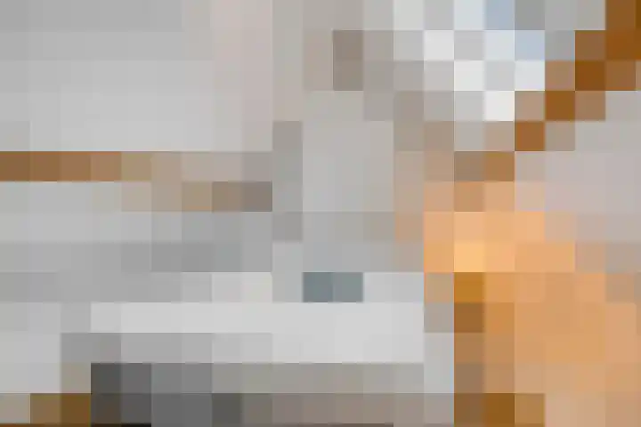 Pasteurlaan 58 Eindhoven thumbnail 32