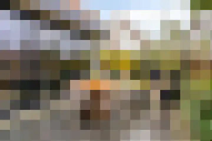 Pasteurlaan 58 Eindhoven thumbnail 33