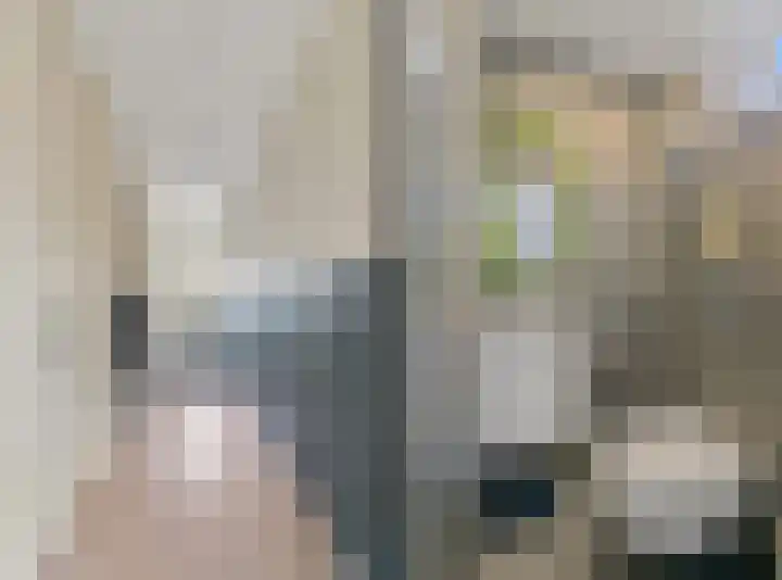 Pasteurlaan 8 Pijnacker thumbnail 15