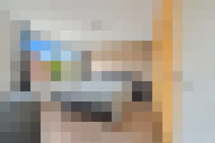 Pasteurlaan 8 Pijnacker thumbnail 17