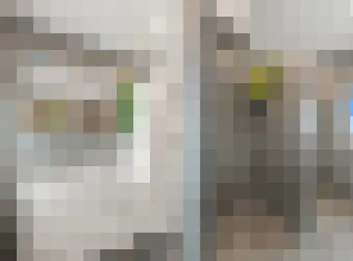 Pasteurlaan 8 Pijnacker thumbnail 20