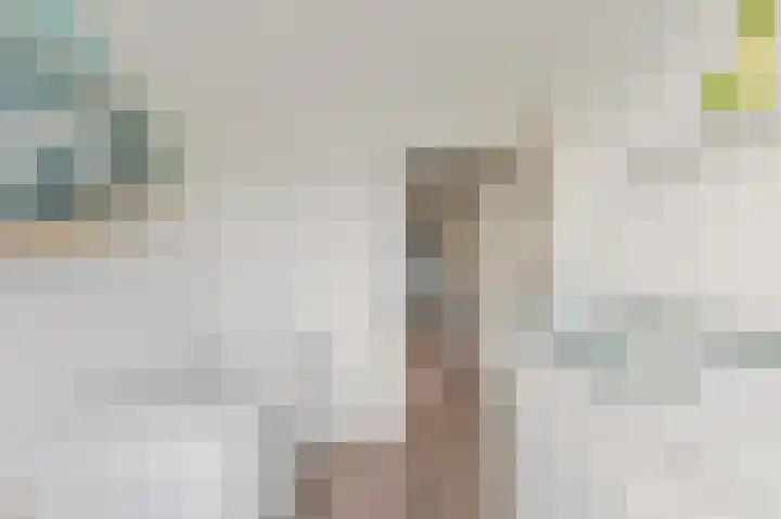 Pasteurlaan 8 Pijnacker thumbnail 22