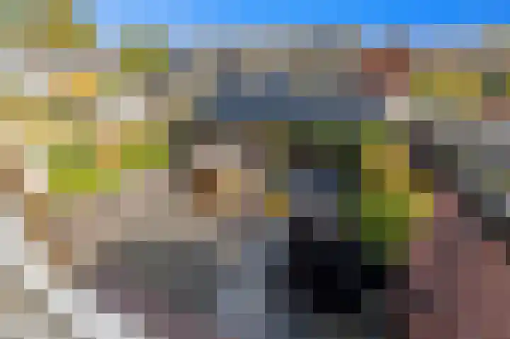 Pasteurlaan 8 Pijnacker thumbnail 23