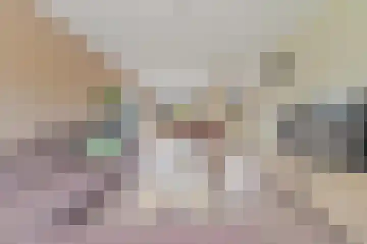 Pasteurlaan 8 Pijnacker thumbnail 4