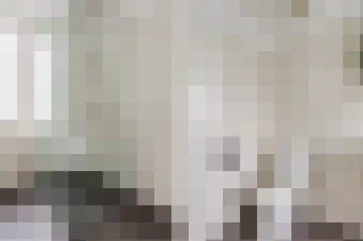 Pasteurlaan 8 Pijnacker thumbnail 40