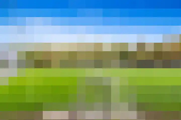 Pasteurlaan 8 Pijnacker thumbnail 42