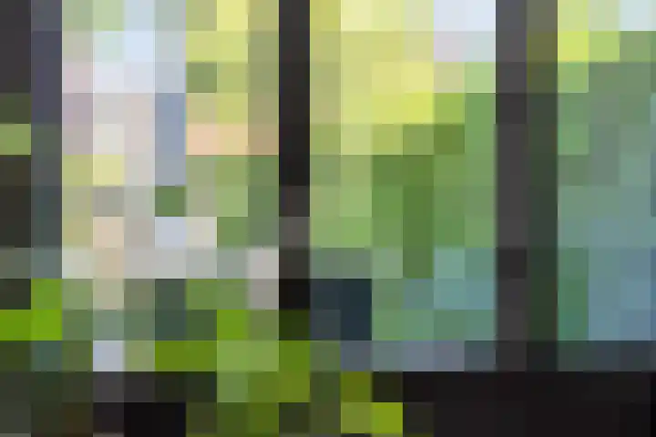 Pasteurlaan 94 Eindhoven thumbnail 13