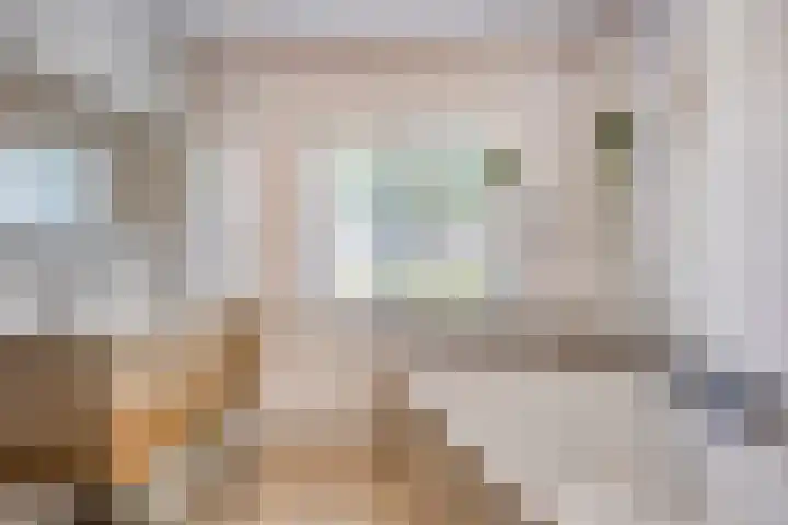 Pasteurlaan 94 Eindhoven thumbnail 21