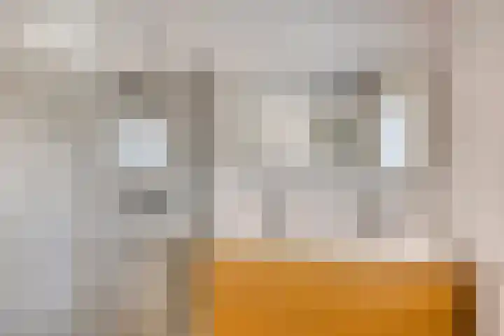 Pasteurlaan 94 Eindhoven thumbnail 22