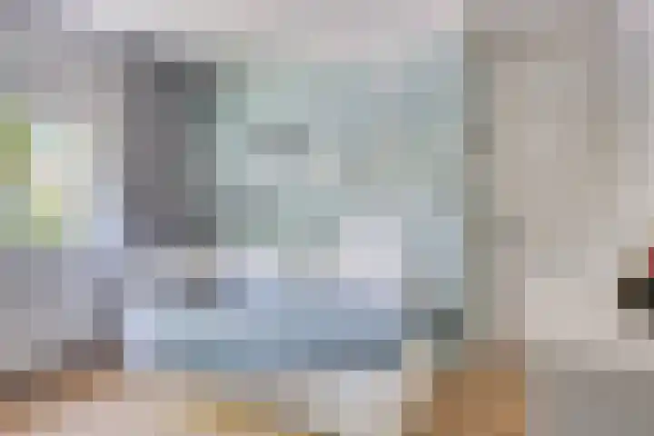 Pasteurlaan 94 Eindhoven thumbnail 24