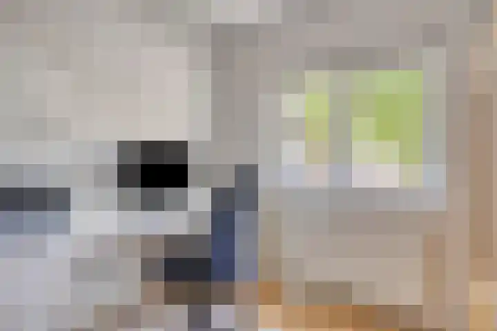 Pasteurlaan 94 Eindhoven thumbnail 25