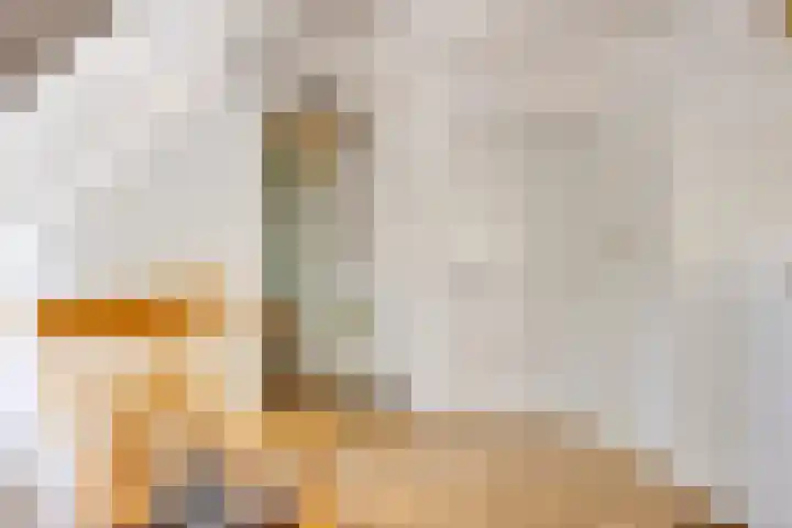 Pasteurlaan 94 Eindhoven thumbnail 29