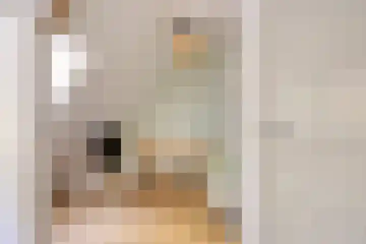 Pasteurlaan 94 Eindhoven thumbnail 30