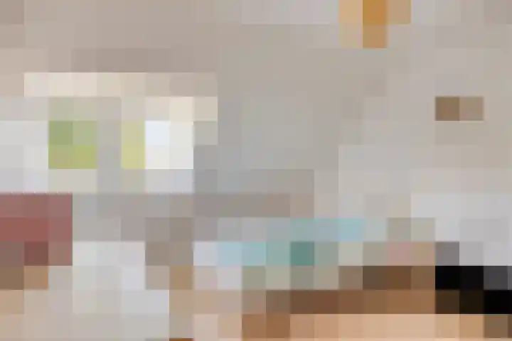 Pasteurlaan 94 Eindhoven thumbnail 33