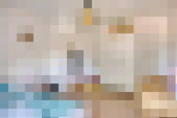 Pasteurlaan 94 Eindhoven thumbnail 34