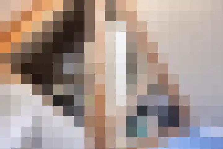Pasteurlaan 94 Eindhoven thumbnail 36
