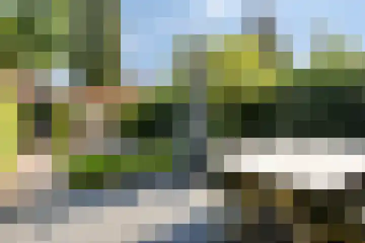 Pasteurlaan 94 Eindhoven thumbnail 40