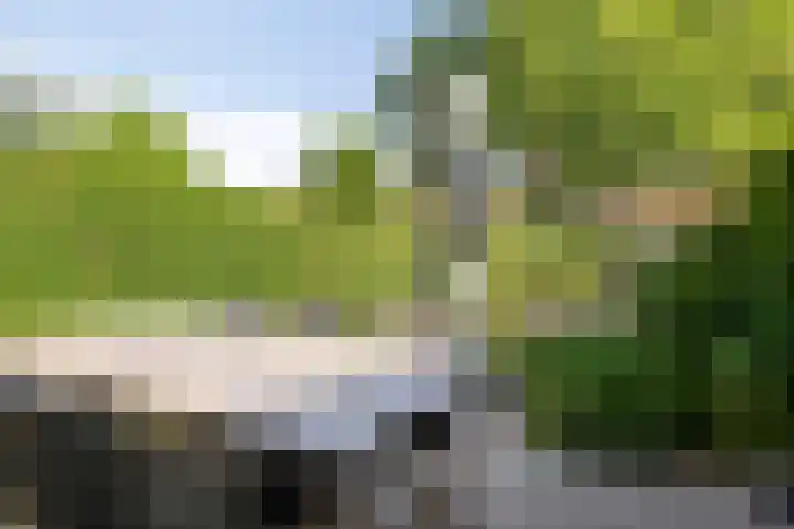 Pasteurlaan 94 Eindhoven thumbnail 41