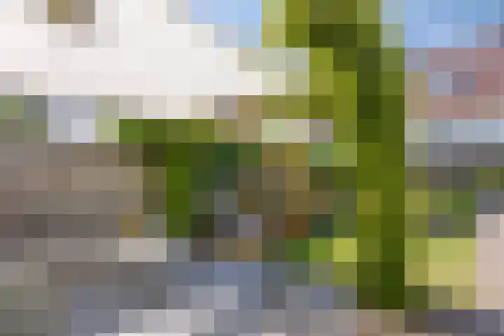 Pasteurlaan 94 Eindhoven thumbnail 42