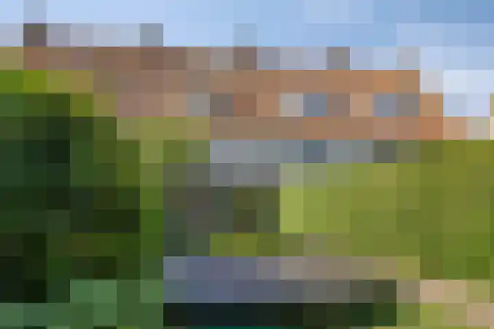 Pasteurlaan 94 Eindhoven thumbnail 43