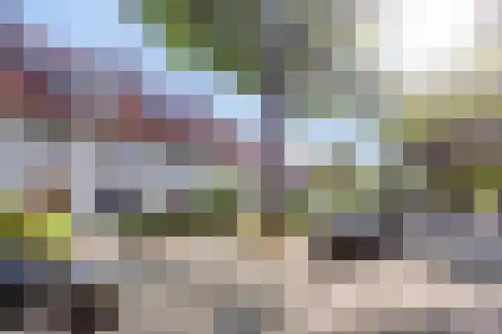 Pasteurlaan 94 Eindhoven thumbnail 45