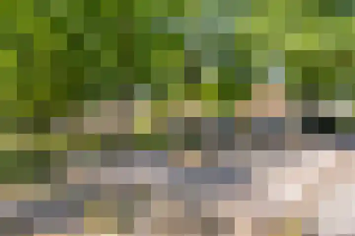 Pasteurlaan 94 Eindhoven thumbnail 47