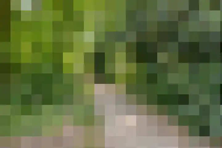 Pasteurlaan 94 Eindhoven thumbnail 48