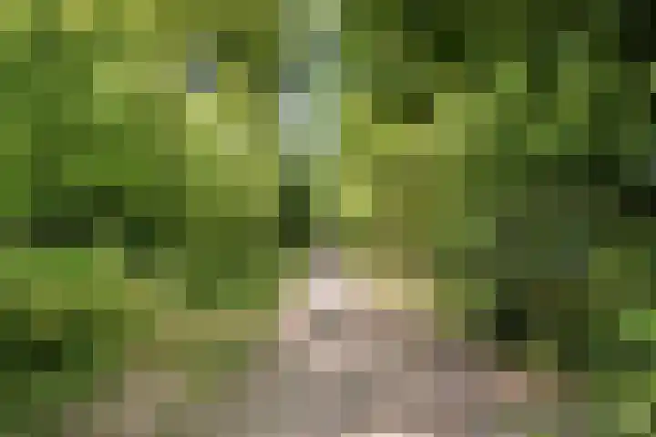 Pasteurlaan 94 Eindhoven thumbnail 49