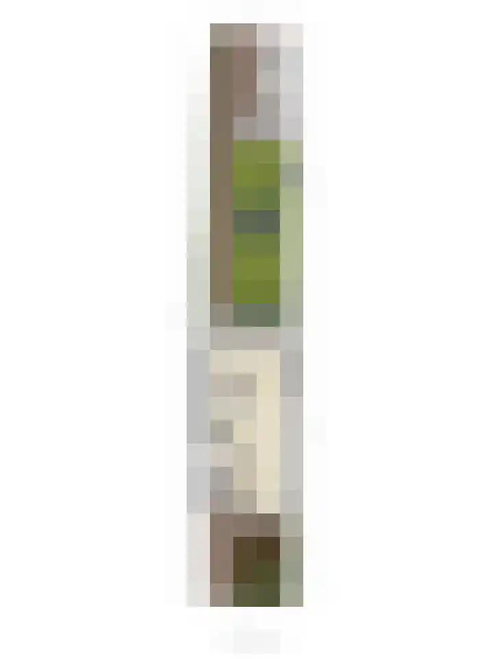 Pasteurlaan 94 Eindhoven thumbnail 50