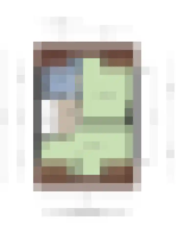 Pasteurlaan 94 Eindhoven thumbnail 53