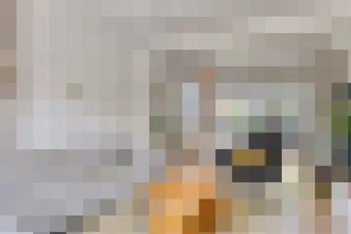 Pasteurlaan 94 Eindhoven thumbnail 7