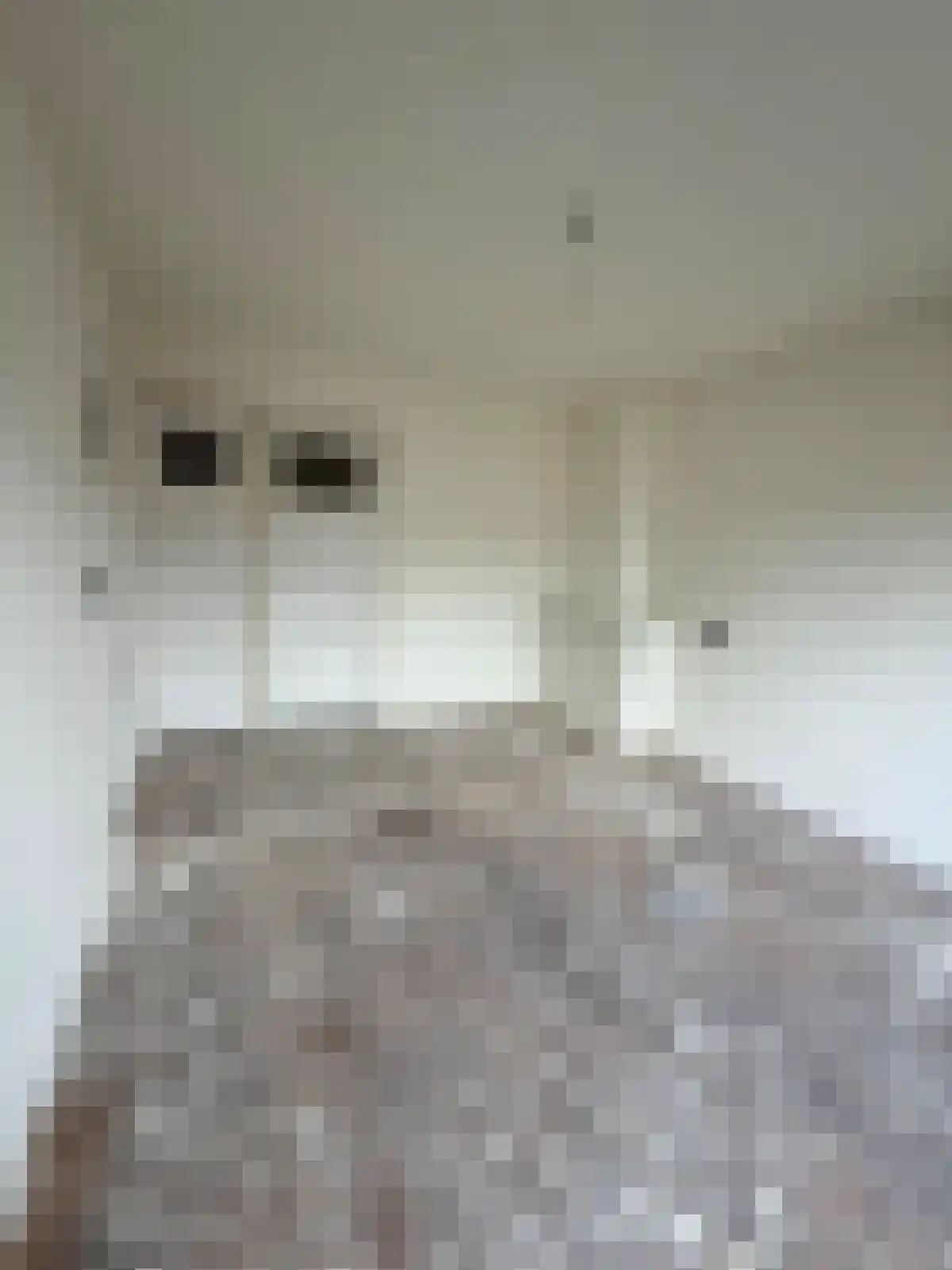 Pasteursingel 61 A Rotterdam thumbnail 10