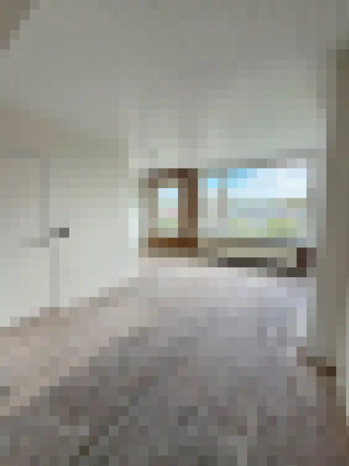 Pasteursingel 61 A Rotterdam thumbnail 5