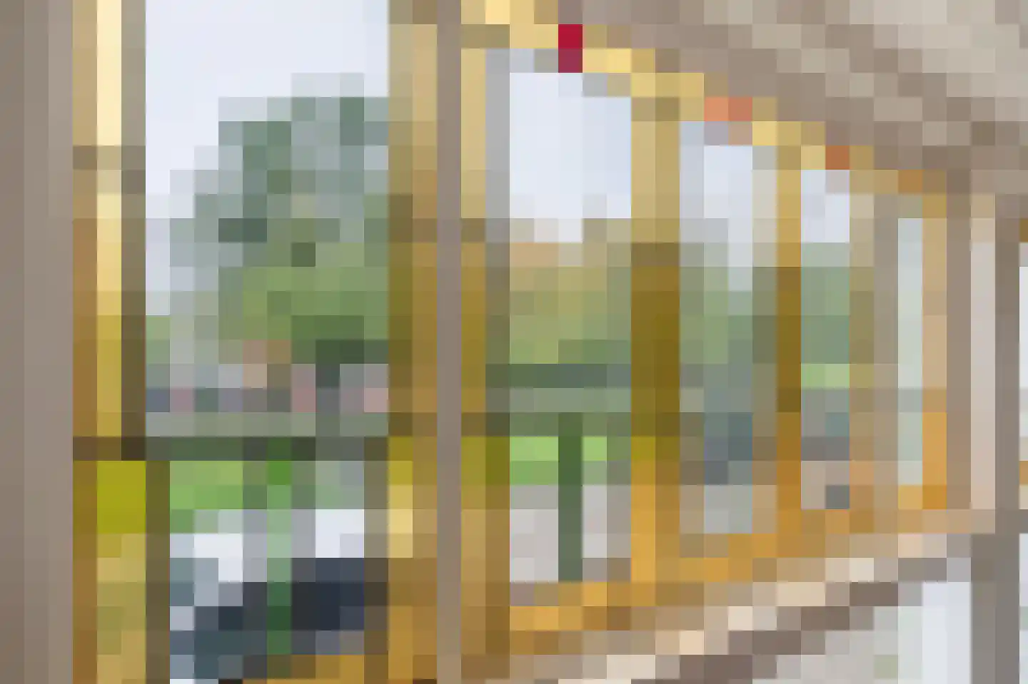 Pasteursingel 67 A Rotterdam thumbnail 21