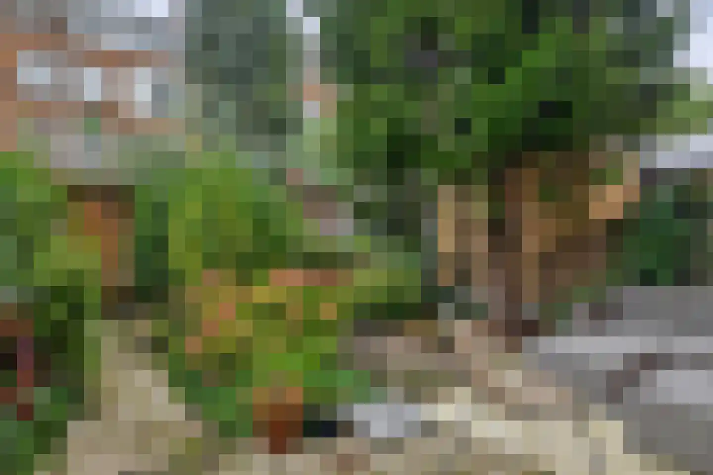 Pasteursingel 67 A Rotterdam thumbnail 22