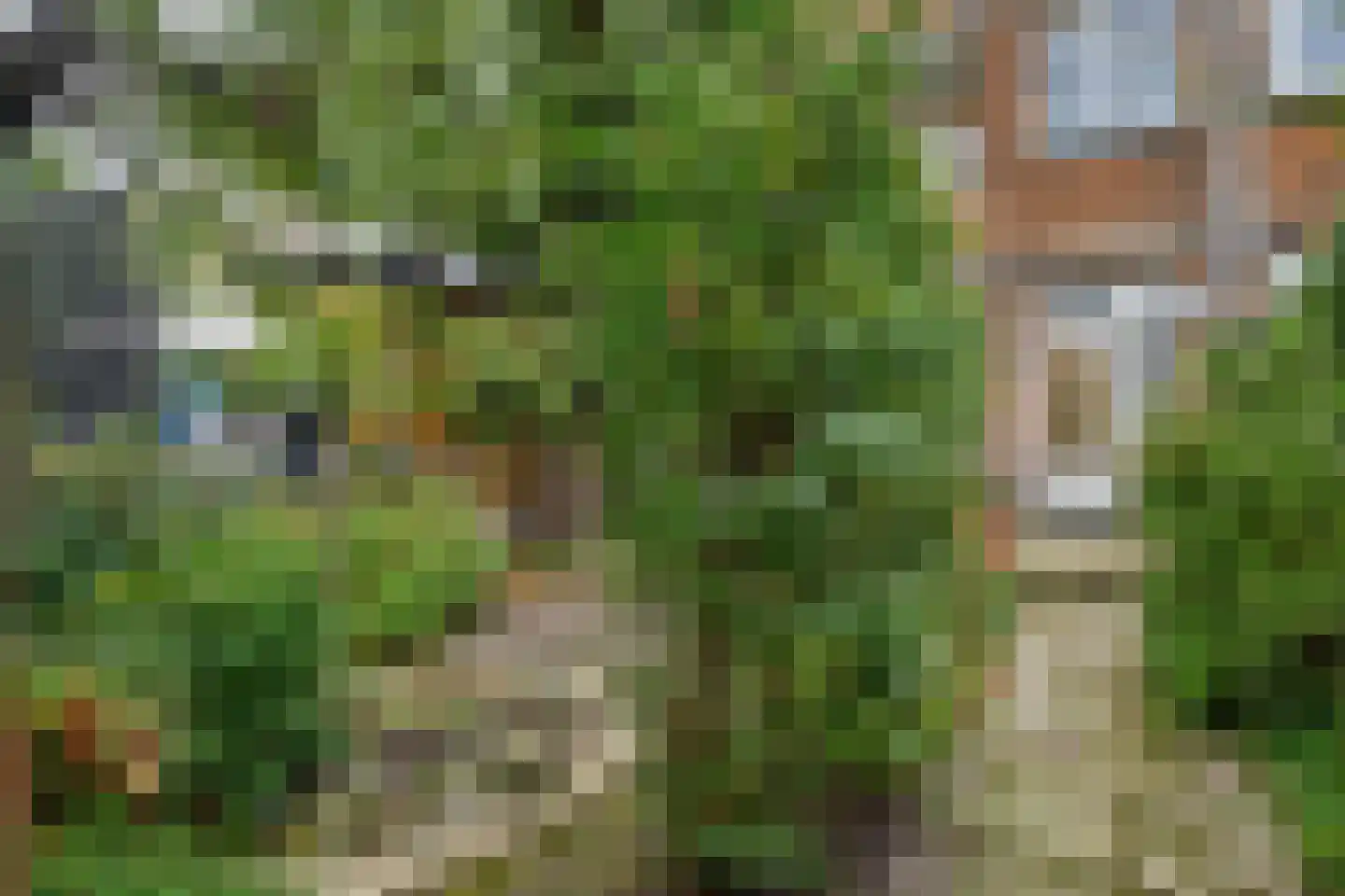 Pasteursingel 67 A Rotterdam thumbnail 23