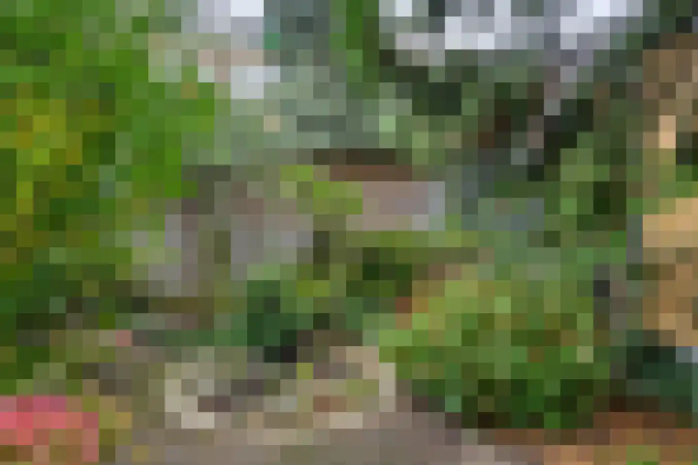 Pasteursingel 67 A Rotterdam thumbnail 25