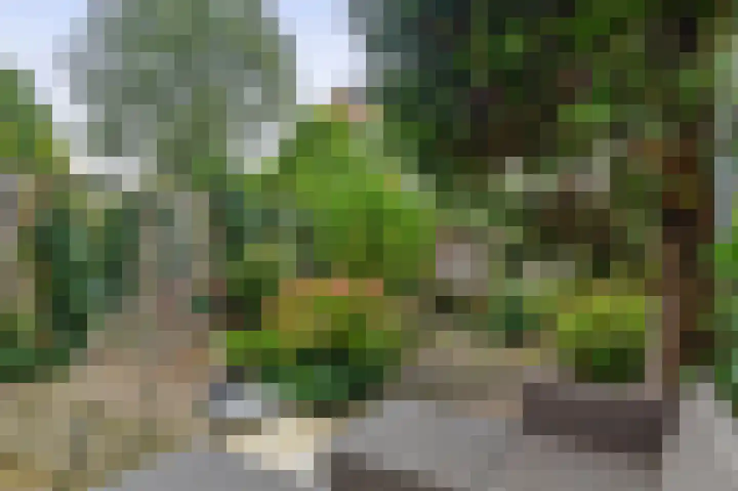 Pasteursingel 67 A Rotterdam thumbnail 6