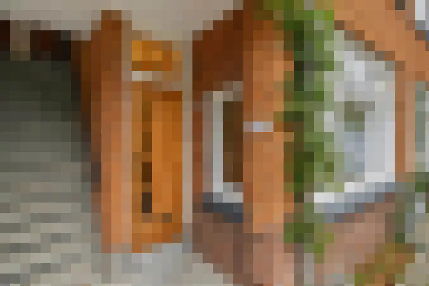 Pasteursingel 67 A Rotterdam thumbnail 7