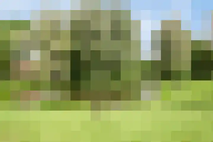 Pasteurstraat 100 Apeldoorn thumbnail 27