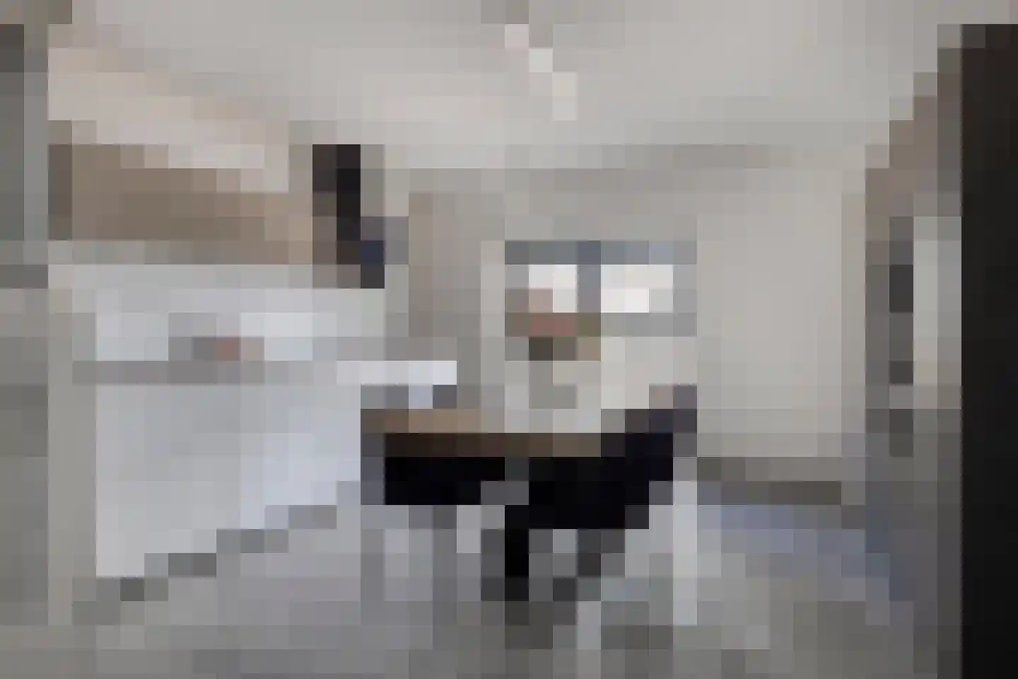 Pasteurstraat 125 Leiden thumbnail 23
